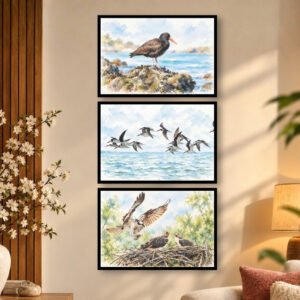 Coastal Black Shorebird, Flying Seabirds & Nesting Birds
